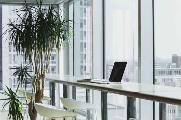 Premier Paralegal Law Firm Portal